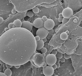 電子顕微鏡でいろいろなものを拡大してみた。ノーカーボン紙による転写の原理