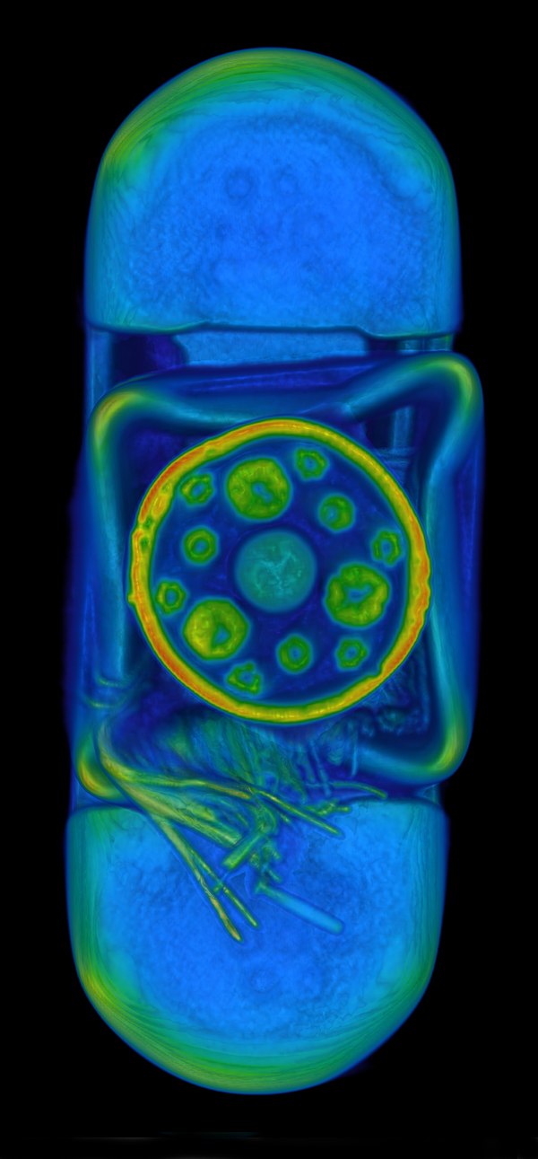 Type-C(USB2.0)ケーブルのケーブル部分の断面図（VR画像）｜松定プレシジョン