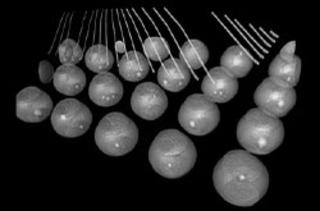 マイクロCTガイド：種類、サンプル画像など