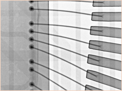 フォーカス　FOCUS　平成9年7月9日号(要説明) フォーカス FOCUS 平成9年7月9日号(要説明) フォーカス FOCUS 平成9