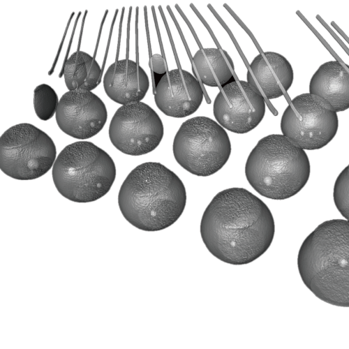 プローブピンのX線透過画像